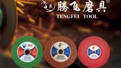 山西騰飛盛大商貿有限公司