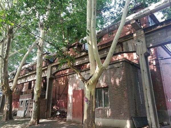 “二砂”未來模樣正式公布：數字文化、創意設計、工藝美術