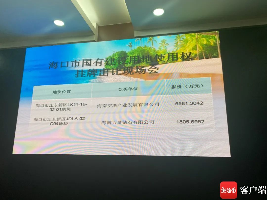 培育鉆石龍頭企業(yè) 海南力量鉆石有限公司落地海口江東新區(qū)